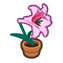 110-lilie-pink-png