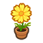 113-cosmea-gelb-png