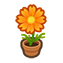 114-cosmea-orange-png