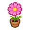 115-cosmea-pink-png
