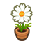 118-cosmea-wei%C3%9F-png