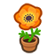 134-anemone-orange-png
