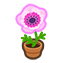 135-anemone-pink-png