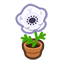 137-anemone-wei%C3%9F-png
