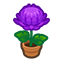 140-crysantheme-lila-png
