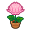 141-crysantheme-pink-png