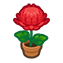 142-crysantheme-rot-png