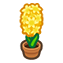 144-hyazinthe-gelb-png