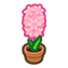 147-hyazinthe-pink-png