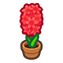 148-hyazinthe-rot-png