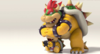 par3entalcontrolbowser.png